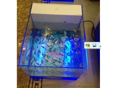亞克力魚療缸
